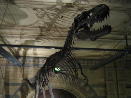 museo-dinosaurios.jpg